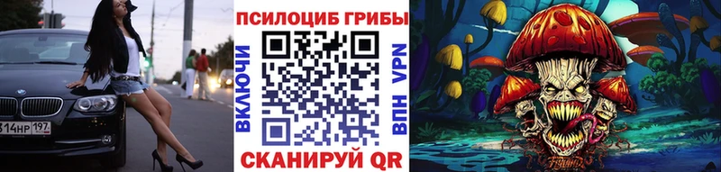 где найти   Ардон  Псилоцибиновые грибы Cubensis 